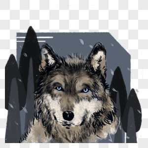 狼雪狼犬嵴图片素材