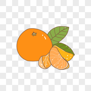 丰收季节水果橙子高清图片