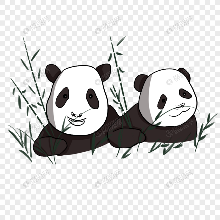 两只正在吃竹子的熊猫