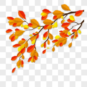 手绘矢量秋天树枝叶图片