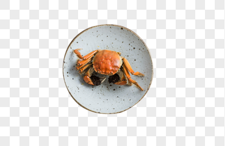 餐桌上的大闸蟹高清图片