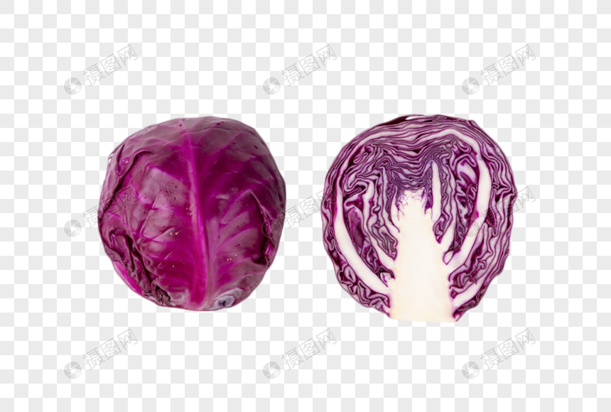 紫甘蓝
