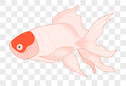 红头鱼图片