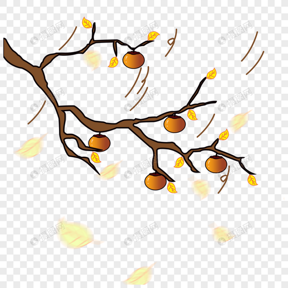 秋季手绘柿子元素图片