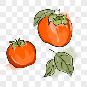 手绘柿子图片