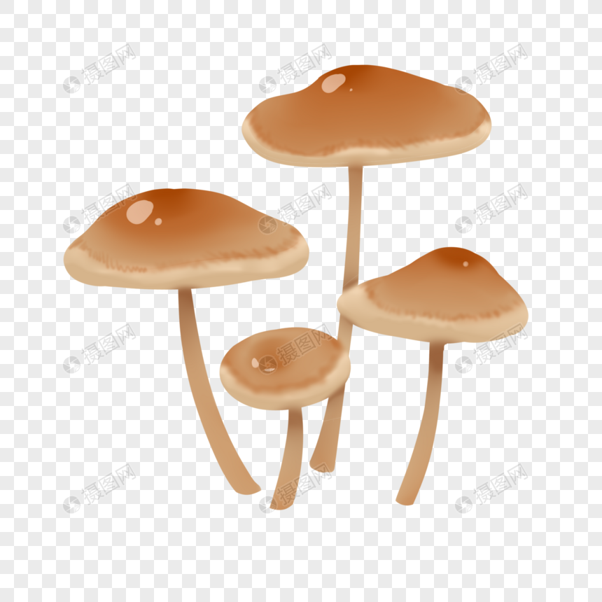 农业农产品蘑菇图片