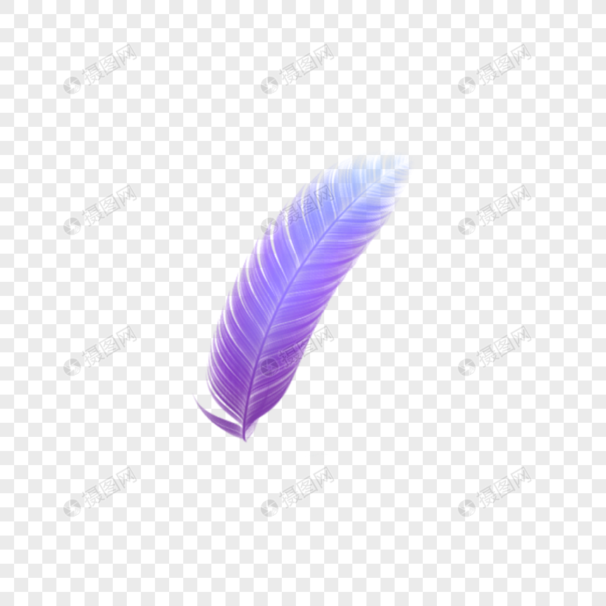 紫色羽毛图片