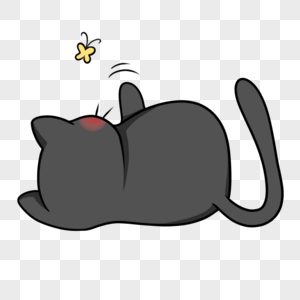 仰躺玩蝴蝶的黑猫背影图片