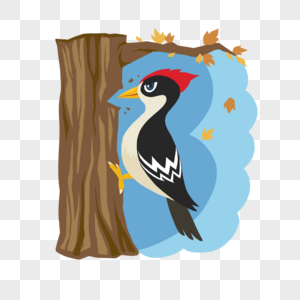 秋天森林动物啄木鸟高清图片