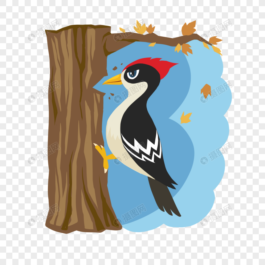 秋天森林动物啄木鸟图片