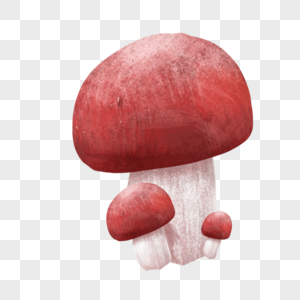 红色的菇图片