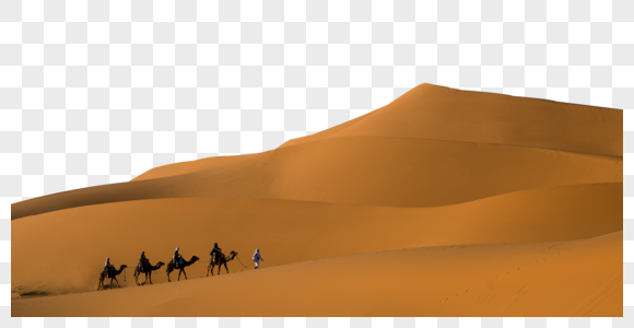 沙漠骆驼戈壁骆驼高清图片