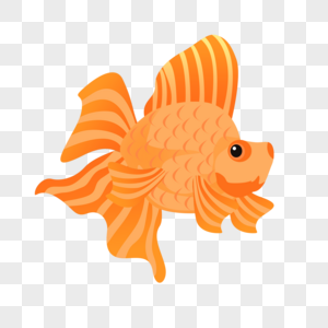 橙色大尾巴鱼海洋生物高清图片素材