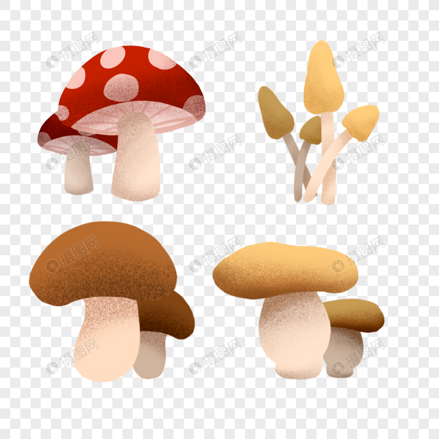 各种蘑菇