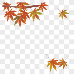 手绘秋季枫叶装饰边框图片