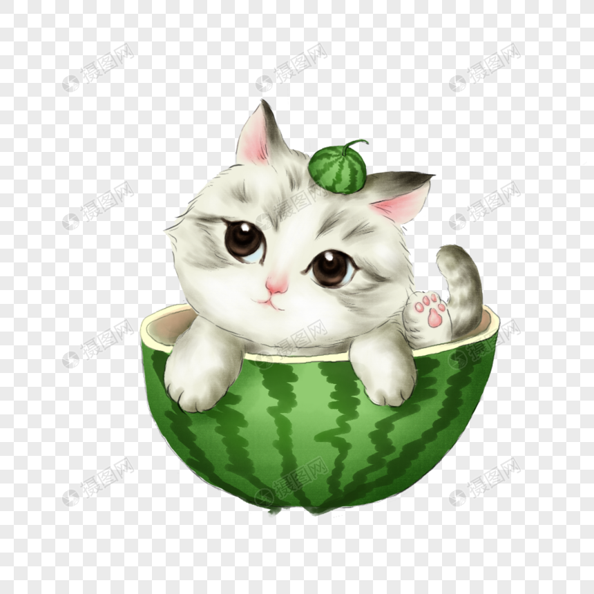 坐在西瓜中的小猫图片