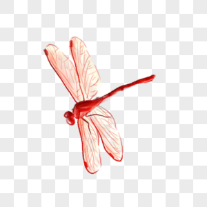 飞翔的蜻蜓蜻蜓元素红蜻蜓高清图片