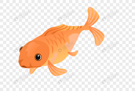 橙色鱼图片