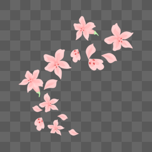 粉色花朵飘落图片