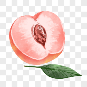 水蜜桃切开的水蜜桃高清图片
