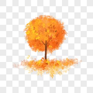 秋天黄色的树图片