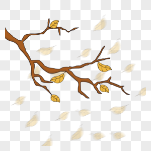 秋季树枝落叶图片