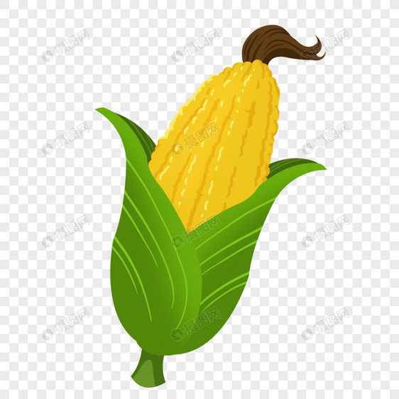 卡通成熟的玉米图片
