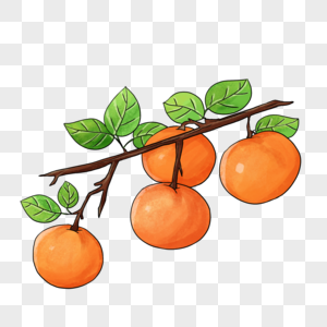 一枝杏子图片