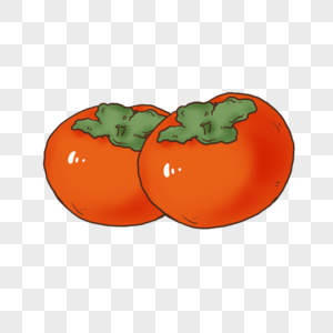 写实柿子图片