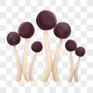 手绘菌类黑蘑菇图片