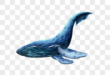 鲸鱼手绘鲸鱼高清图片素材