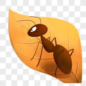 落叶上的蚂蚁高清图片