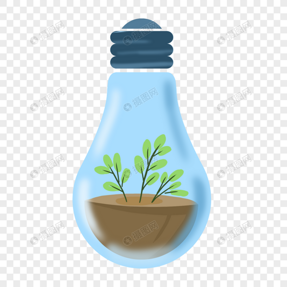蓝色灯泡里的植物图片