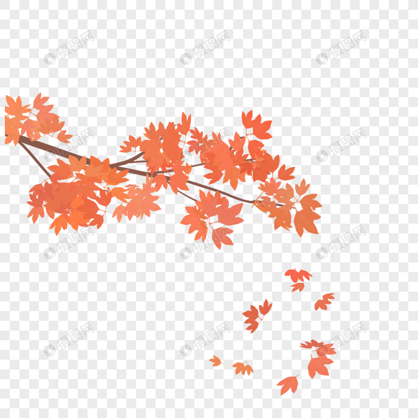 手绘树枝枫叶