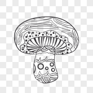 手绘蘑菇黑白线稿图片
