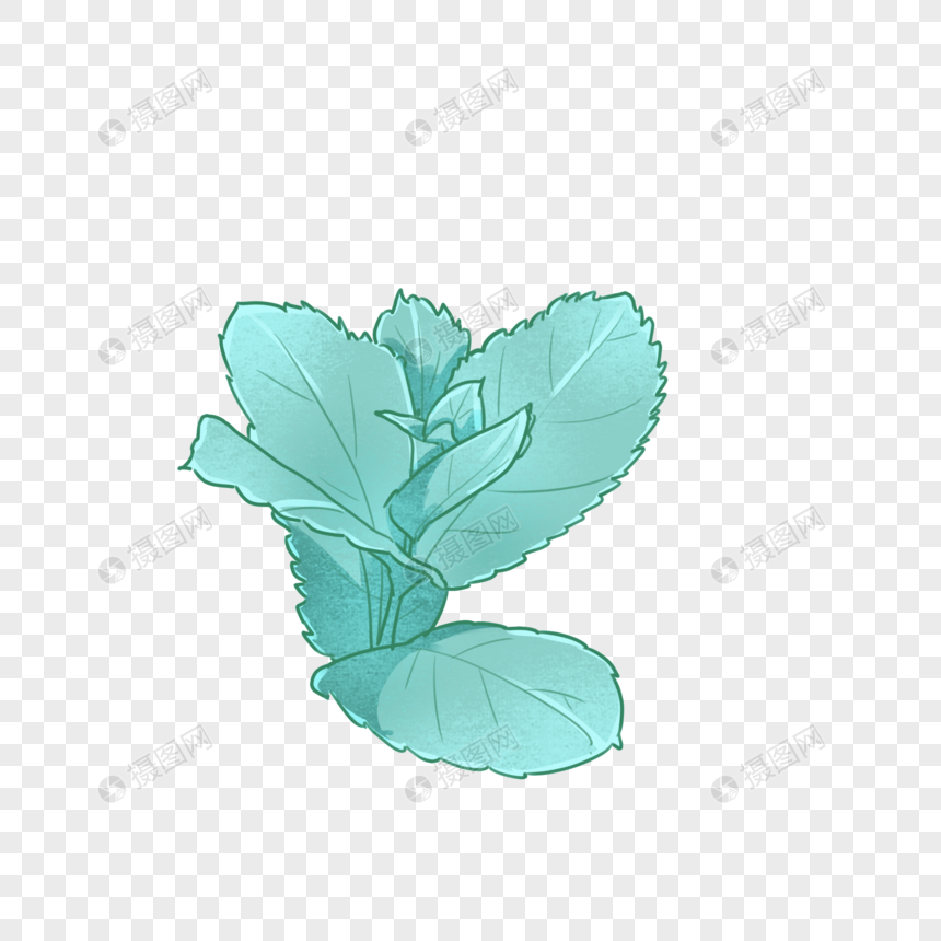 手绘卡通小清新插画薄荷叶绿色