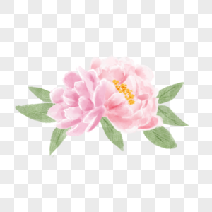 手绘小清新欧美风水彩花卉粉色图片