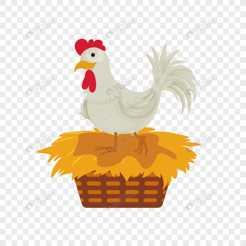 鸡窝