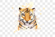 老虎野兽动物彩绘元素图片
