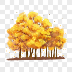 秋天小树林图片
