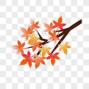 秋天立秋秋季的树和树叶图片