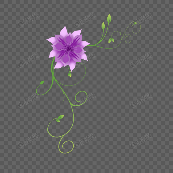 紫色花卉素材图片