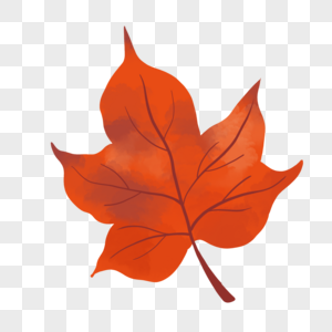 秋季红色枫叶手绘素材下载图片
