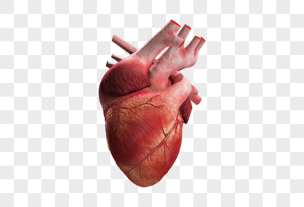 医疗科幻心脏图片