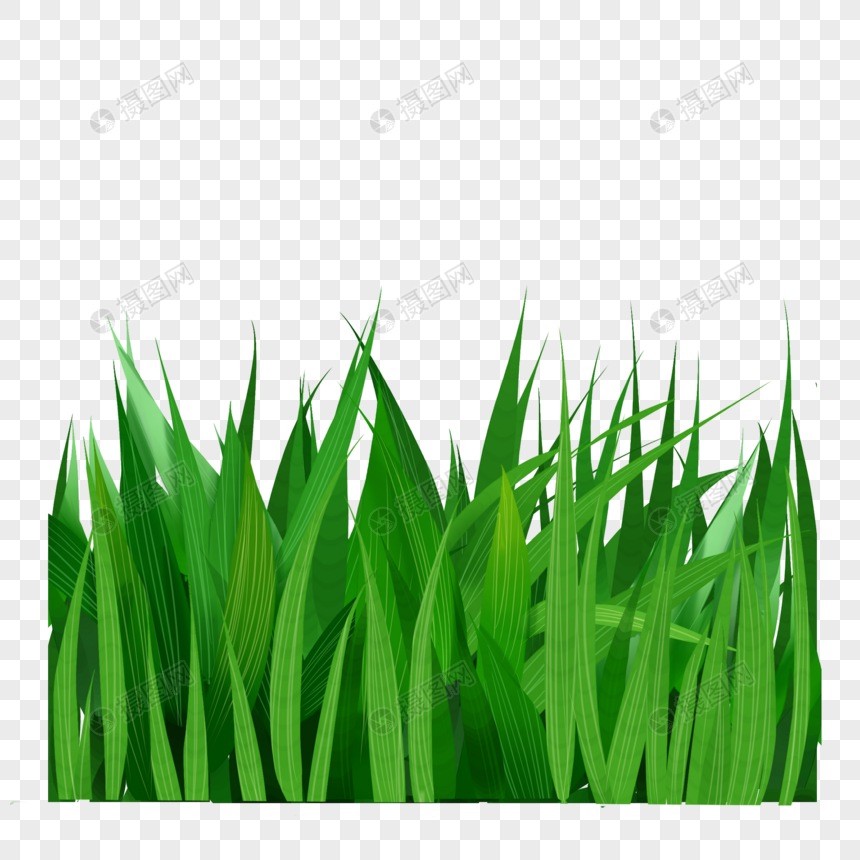 卡通一片绿色草