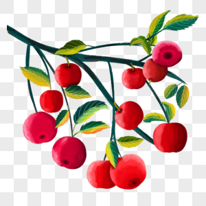 秋天的水果之红苹果图片