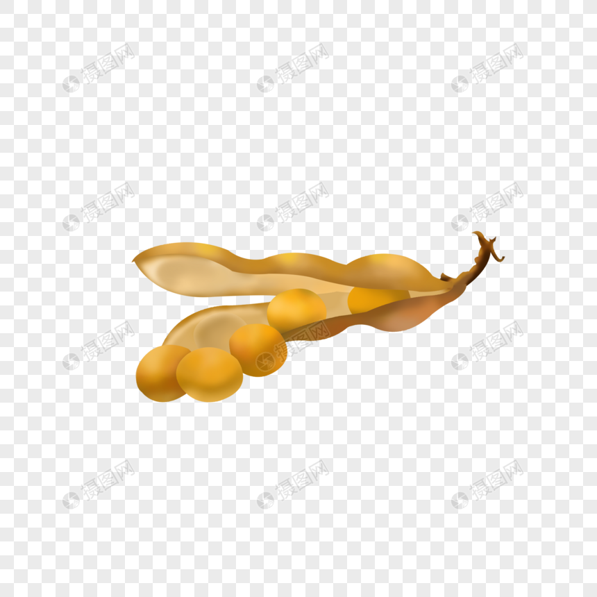 黄豆