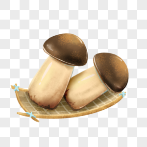 蘑菇巴西菇图片