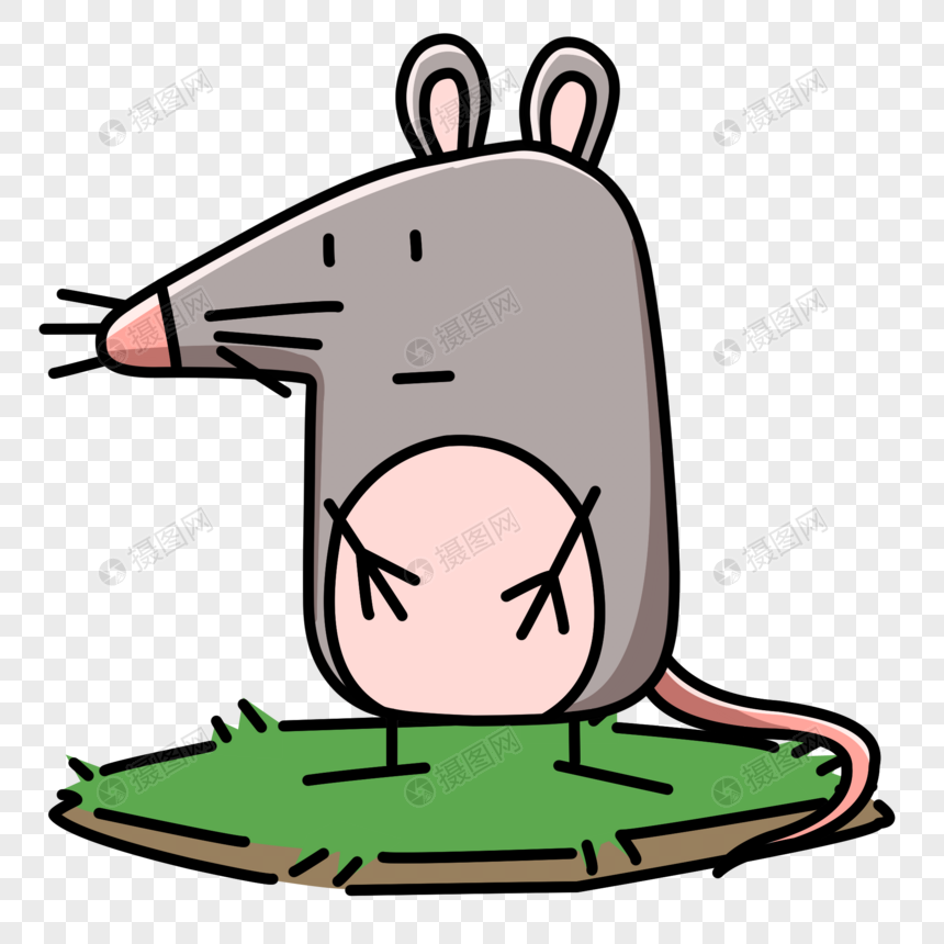 佩奇型灰老鼠