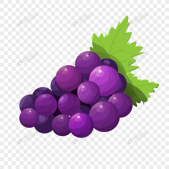 紫色葡萄图片